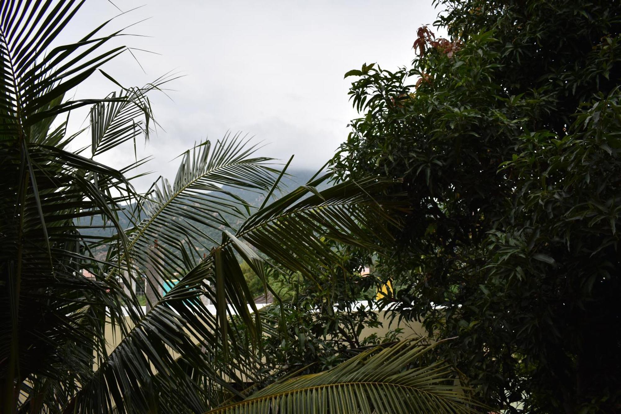 Rainbow Guest House Tiruvannamalai Ngoại thất bức ảnh